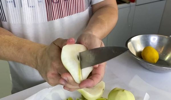 Домашний лимонад «Дюшес»